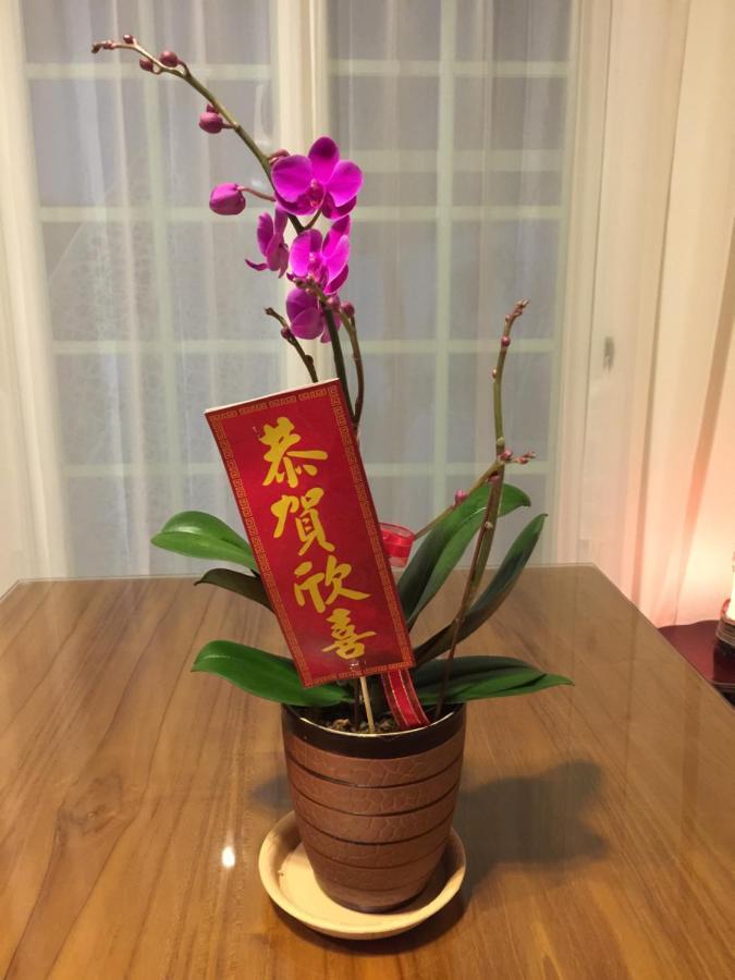 Bridge Bed And Breakfast Hualien Buitenkant foto